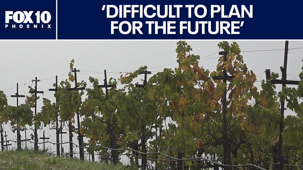 Wine industry faces growing uncertainty over tariffs