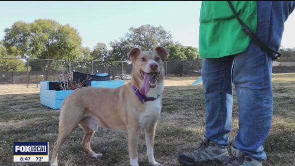 Pet of the Day: Milton