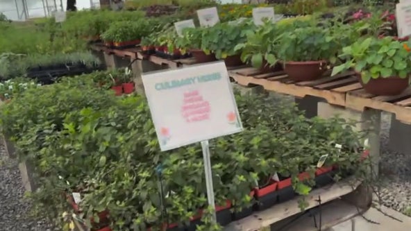 Urban Growers Collective sprouts new hope for food justice