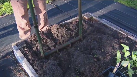 Tools for turning your garden