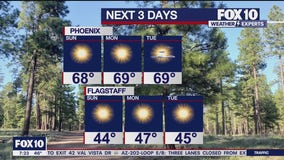 Morning Weather Forecast - 11/17/24