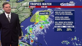 Tropical depression may form in Gulf of Mexico