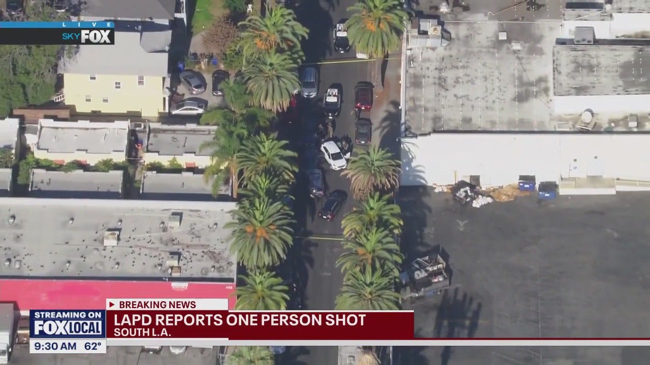 Person shot during federal investigation in LA | FOX 11 Los Angeles