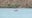 MCSO: Body of missing paddleboarder believed to be found