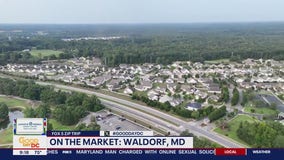 Zip Trip to Waldorf: On the Market