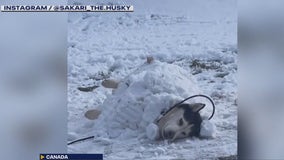 Powerful California earthquake, different fronts