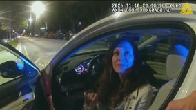 Video of Cook County politician's DUI arrest released