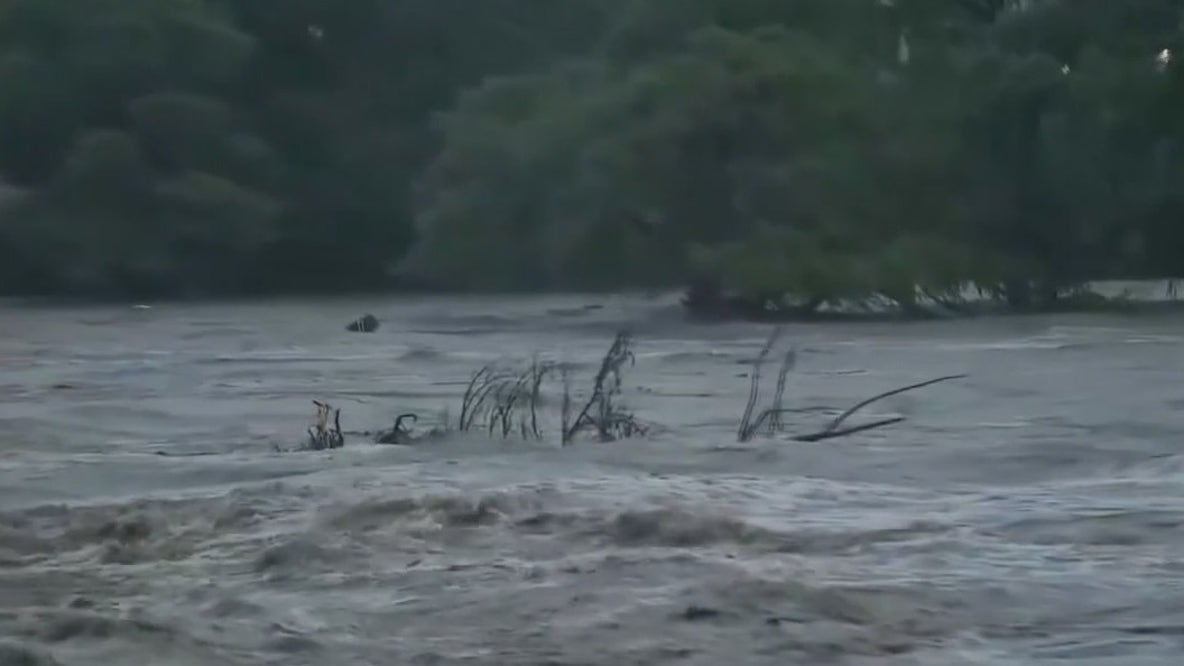 President Trump, Rep. Buddy Carter on Texas flooding