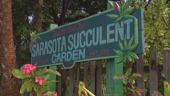 Charley's World | Sarasota Succulent Society