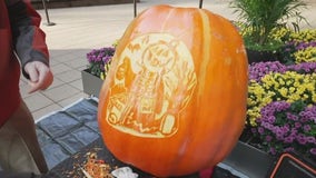 Expert pumpkin carver shows off perfect technique for Halloween jack-o'-lanterns