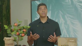 Dr. Luigi Gratton talks about metabolic health