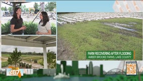 Eustis farm recovers after "unexpected" overnight storm