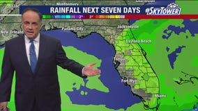 Tampa Weather | Delightful stretch of weather