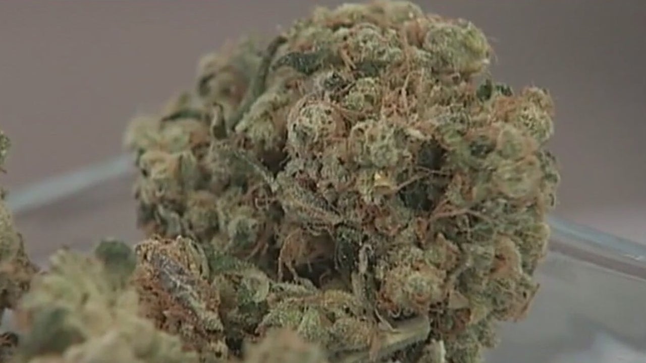 Woman Arrested at SFO with 151 Pounds Marijuana Smuggling Attempt