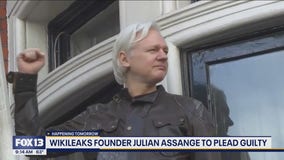 Wikileaks founder Julian Assange to plead guilty