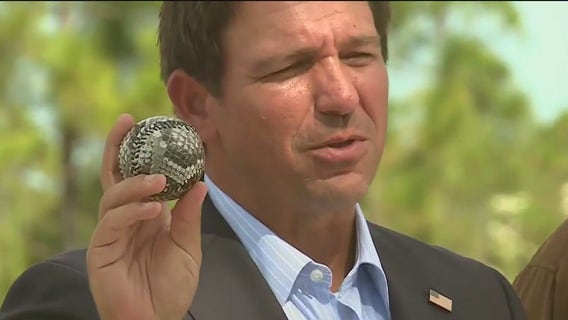 Turning invasive pythons into fashion