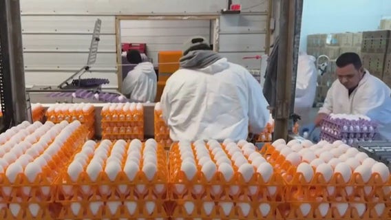 Trump administration sues California over egg prices