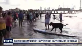 Furry Friends Friday & extended gear test | Forecasting with Friends