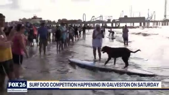 Furry Friends Friday & extended gear test | Forecasting with Friends