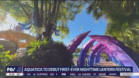 First look: Inside Aquatica Orlando's nighttime lantern fest