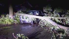 Severe weather causes damage across Twin Cities