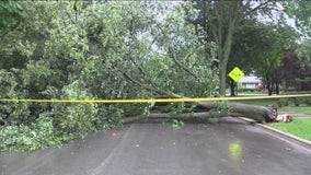 Sudden storms cause damage in Chicago suburbs