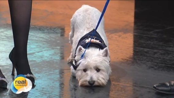 Real Milwaukee | November 3, 2025