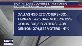 NTX early voting turnout more favorable to GOP: expert