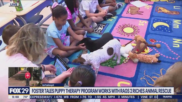Puppy therapy makes school days a treat