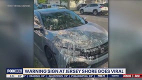 Driver picks the wrong tree to park underneath in North Wildwood