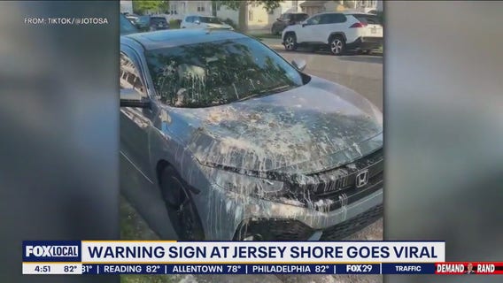 Driver picks the wrong tree to park underneath in North Wildwood