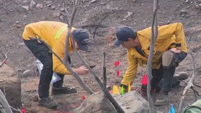 Malibu Fire: Some evacuation orders lifted