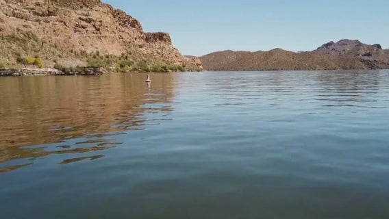 Golden algae responsible for fish deaths in 2 AZ lakes