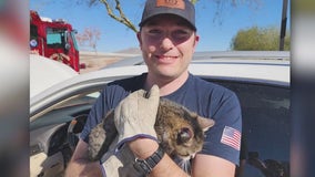 Buckeye Fire helps woman's cat as she flees from CA fires