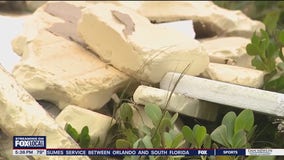 Big pieces of foam washing up on beaches after Milton