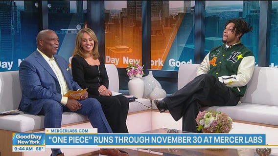 'One Piece' Mercer Labs exhibit runs through November 30th