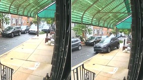 Impatient driver caught driving up Philly sidewalk, knocking over tree