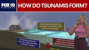 Understanding tsunamis after pacific warnings