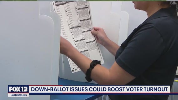 Down-ballot issues could boost voter turnout