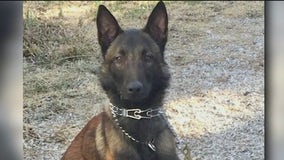 Illinois State Police K9 dies at age 11