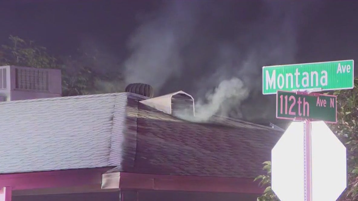 Fire forces family, dogs out of Youngtown home