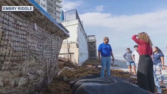 Engineers considering new 'living seawall' to protect Volusia County beaches