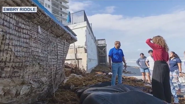 Engineers considering new 'living seawall' to protect Volusia County beaches