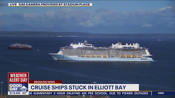 Cruise ships stuck in Elliott Bay
