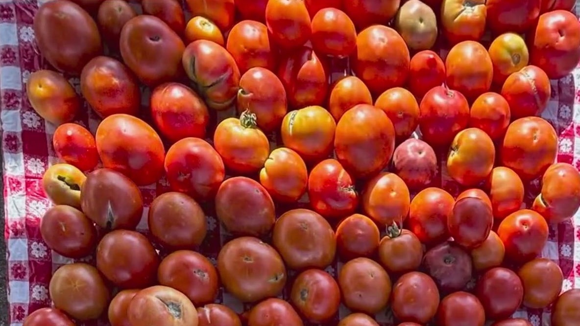 Tomato duty divides consumers and AZ farmers