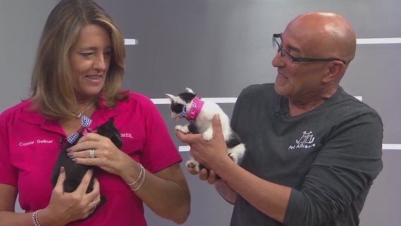 Adopt-A-Pet: Meet Tammy and Anna