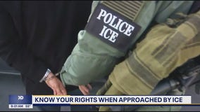 Trump directs ICE to expand deportations in democratic cities: What it could mean for WA