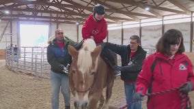 Transforming lives through Holistic Riding Therapy