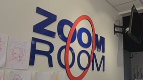 Zoom Room dog training