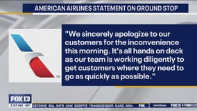 American Airlines statement on Christmas Eve ground stop